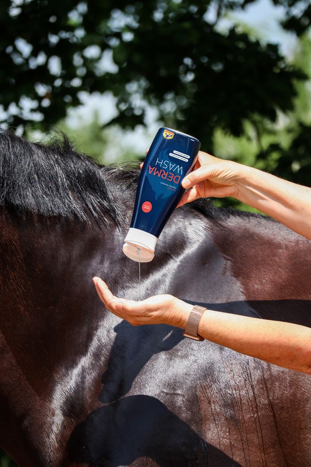 Cavalor Derma Wash - Saddleworld Devonport