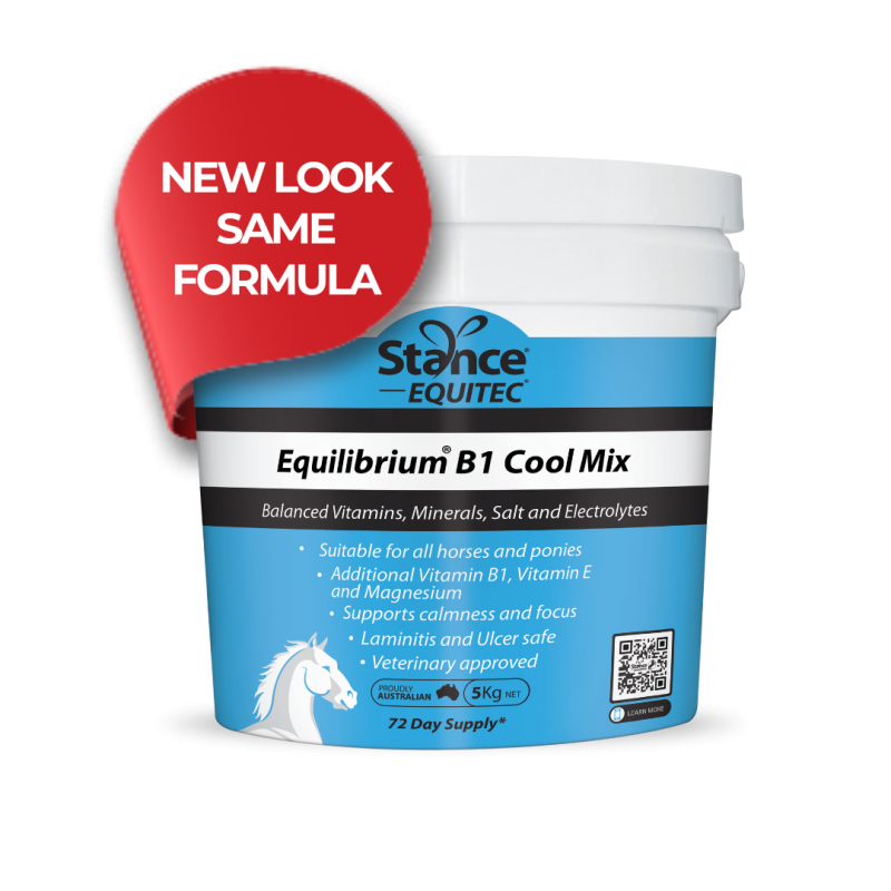 Stance Equitec Equilibrium B1 Blue