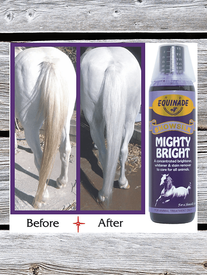 Equinade Showsilk Mighty Bright - Saddleworld Devonport