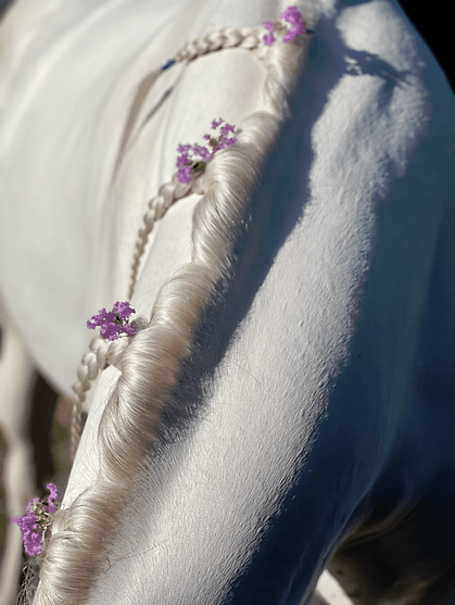 Equinade Showsilk Mighty Bright - Saddleworld Devonport