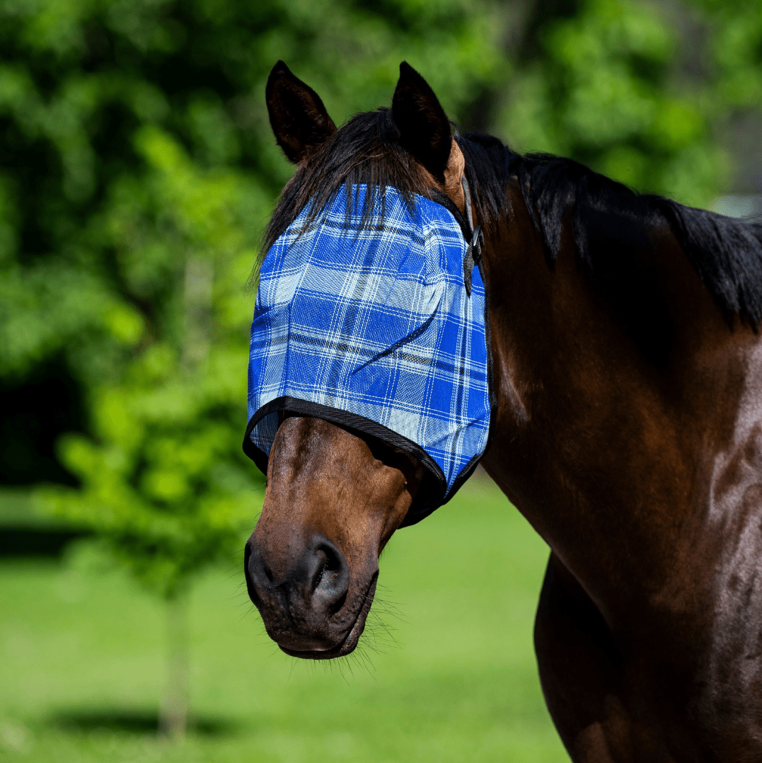 Eureka Shadecloth Mesh Combo With Bonus Fly Mask - Saddleworld Devonport
