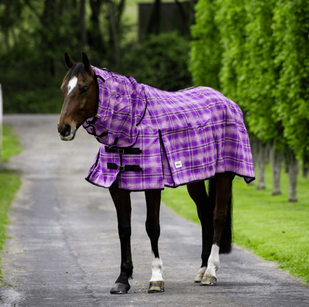Eureka Shadecloth Mesh Combo With Bonus Fly Mask - Saddleworld Devonport