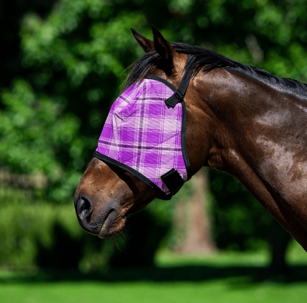 Eureka Shadecloth Mesh Combo With Bonus Fly Mask - Saddleworld Devonport