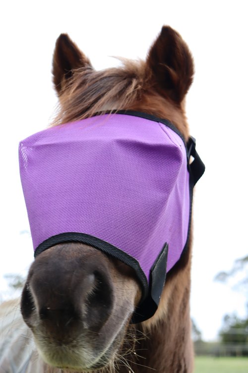 FlyVeils by Design Basic Fly Veil - Saddleworld Devonport