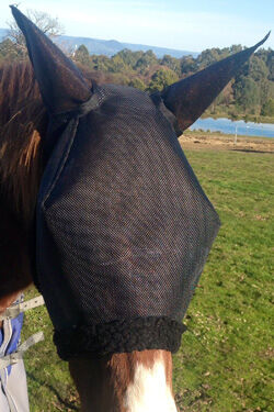 Flyveils by Design Basic Fly Veil with Ears