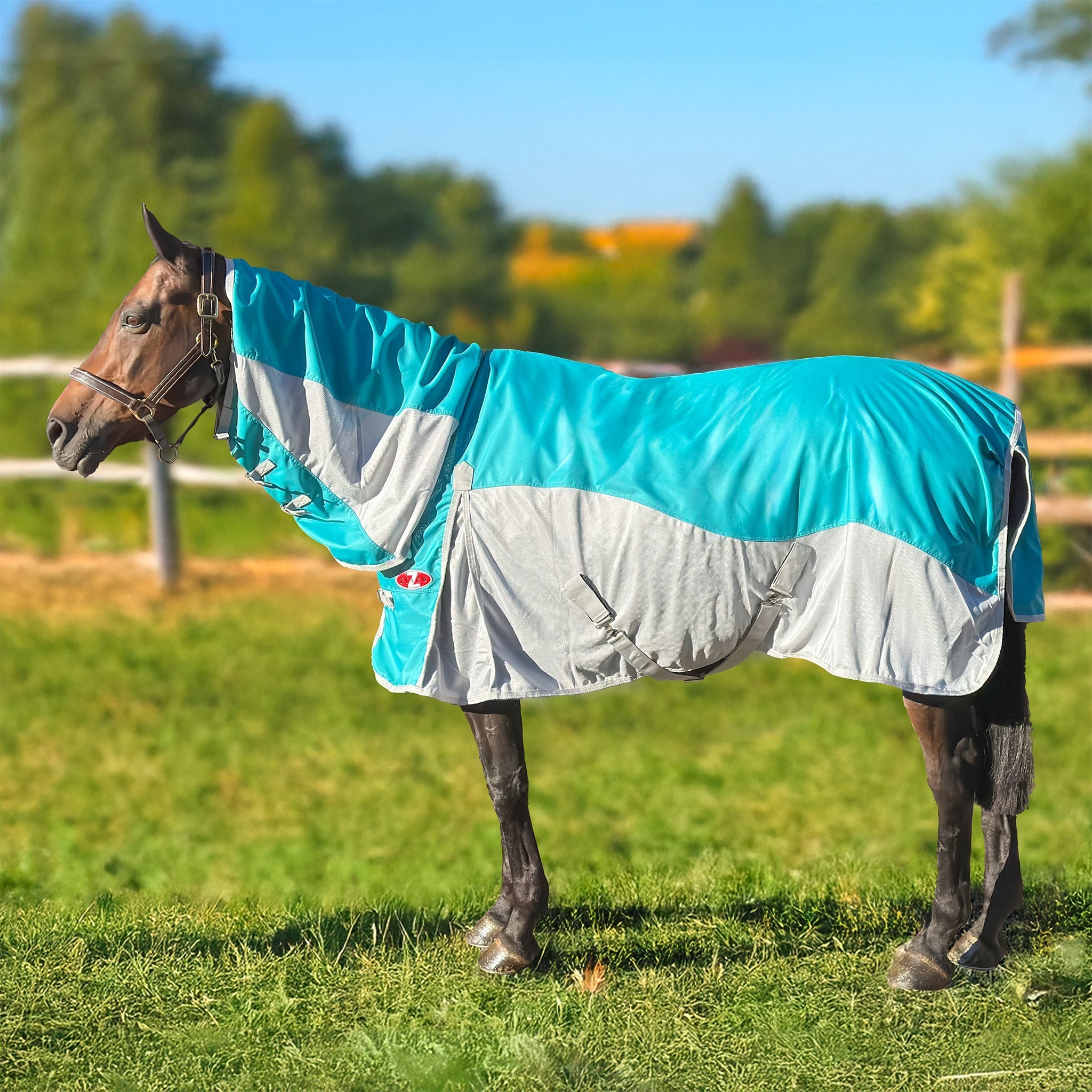 Guardian Hybrid Combo Rug - Saddleworld Devonport