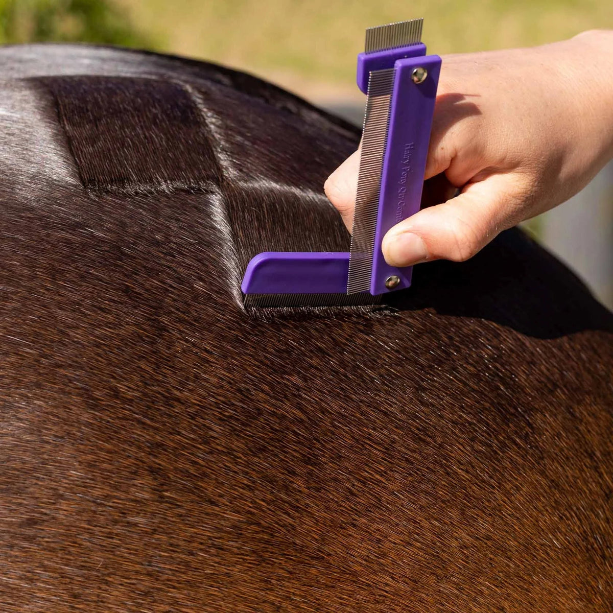 Hairy Pony Quarter Mark Horse Comb - Saddleworld Devonport