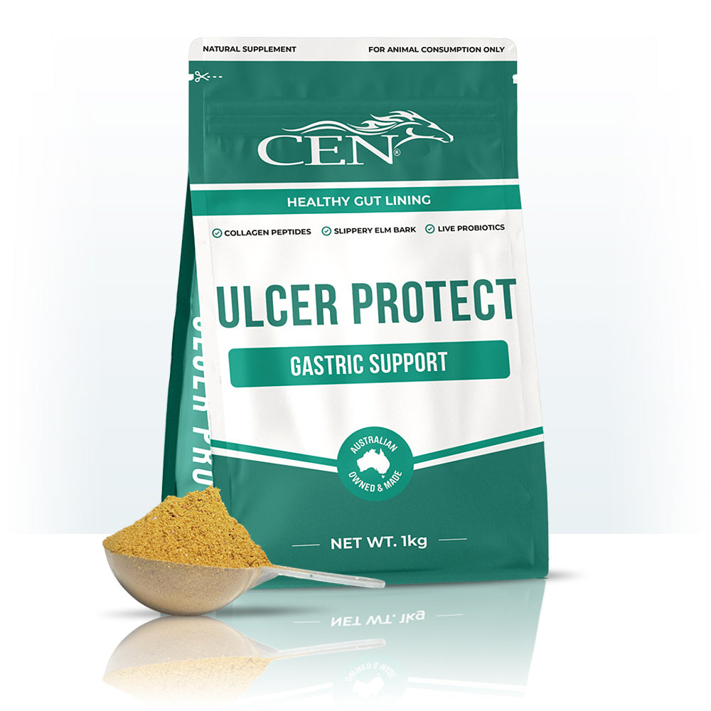 Cen Ulcer Protect 1Kg