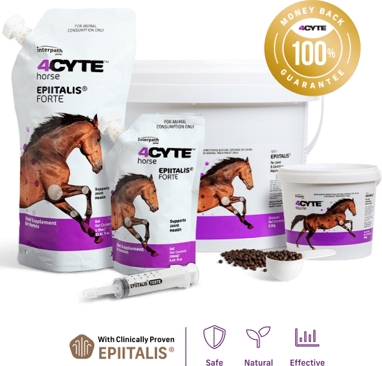 4Cyte Equine Epiitalis Forte Gel