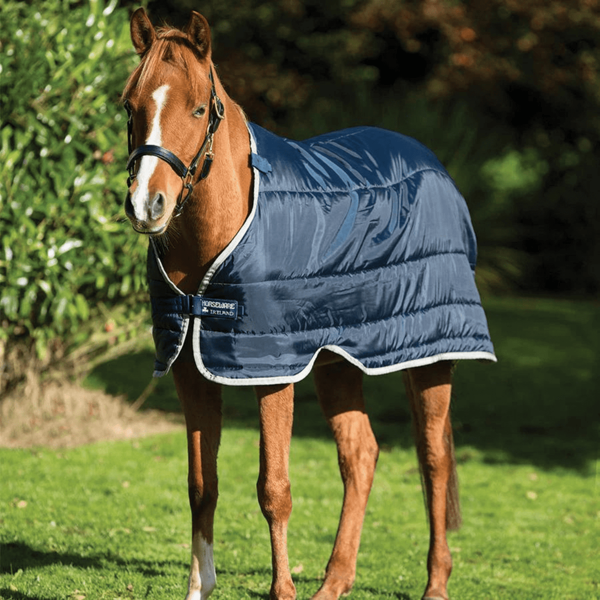 Horseware Pony Liner 200g - Saddleworld Devonport