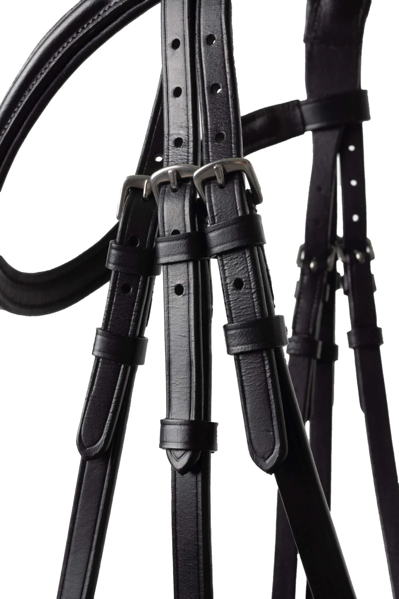 Horze Urban Vitality Competition Bridle - Saddleworld Devonport
