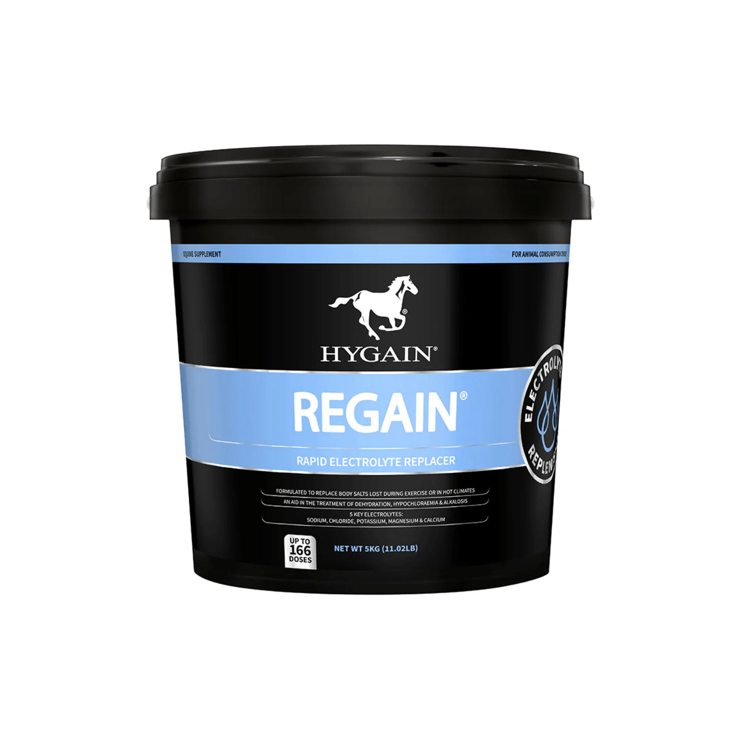 Hygain Regain Electrolyte - Saddleworld Devonport