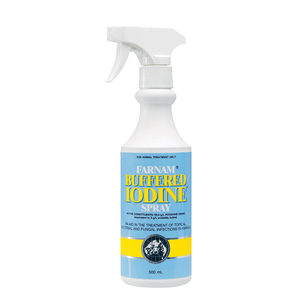 International Animal Health Buffer Iodine - Saddleworld Devonport
