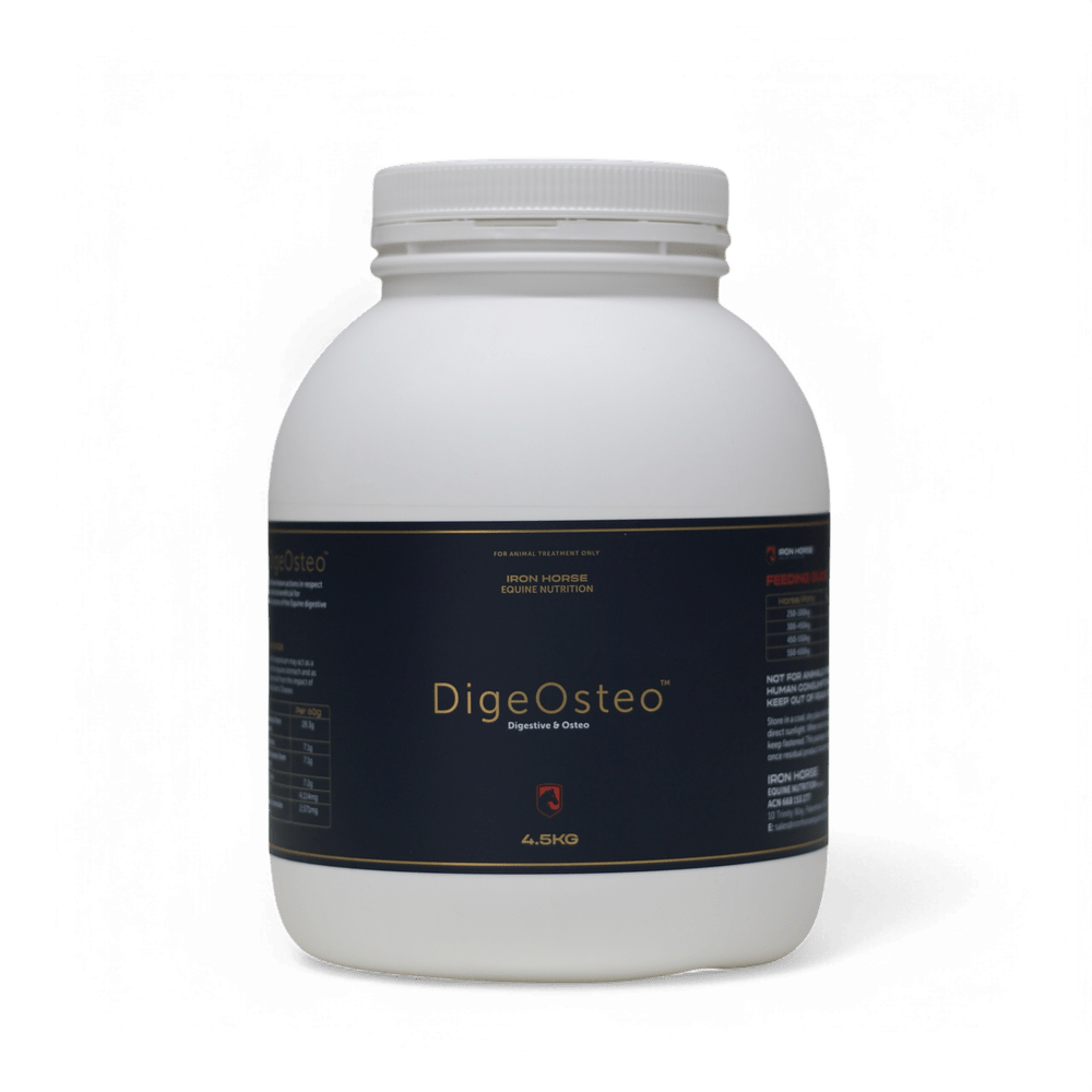 Iron Horse DigeOsteo Supplement - Saddleworld Devonport