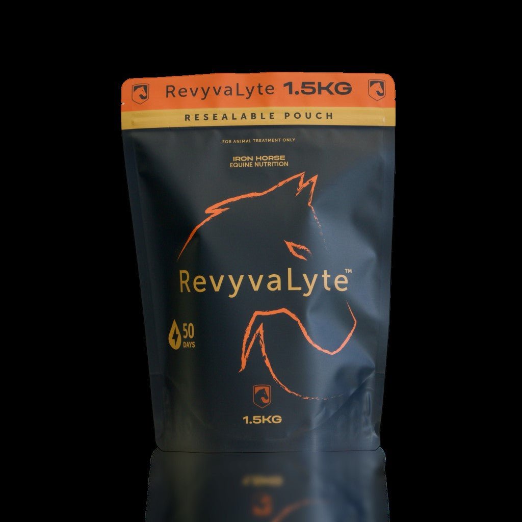 Iron Horse Equine Revyvalyte - Saddleworld Devonport