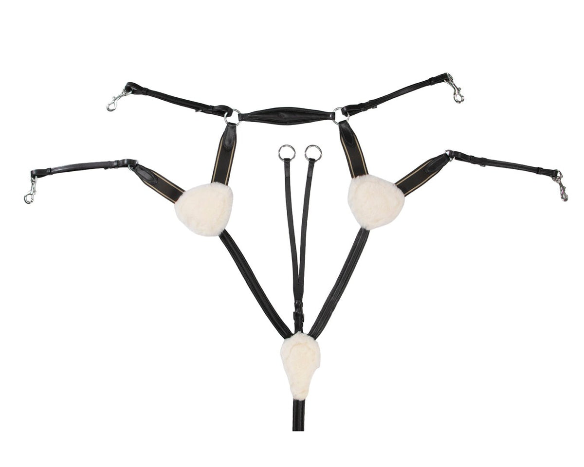 Jeremy & Lord Five Point Breastplate - Saddleworld Devonport