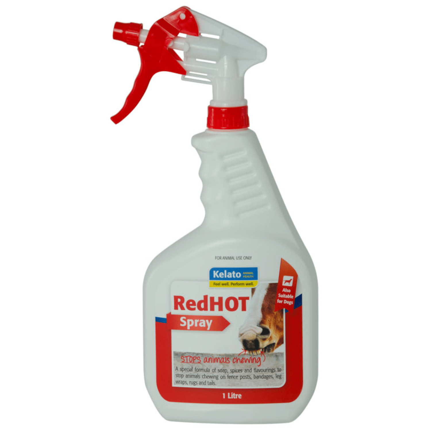 Kelato Redhot 946Ml - Saddleworld Devonport