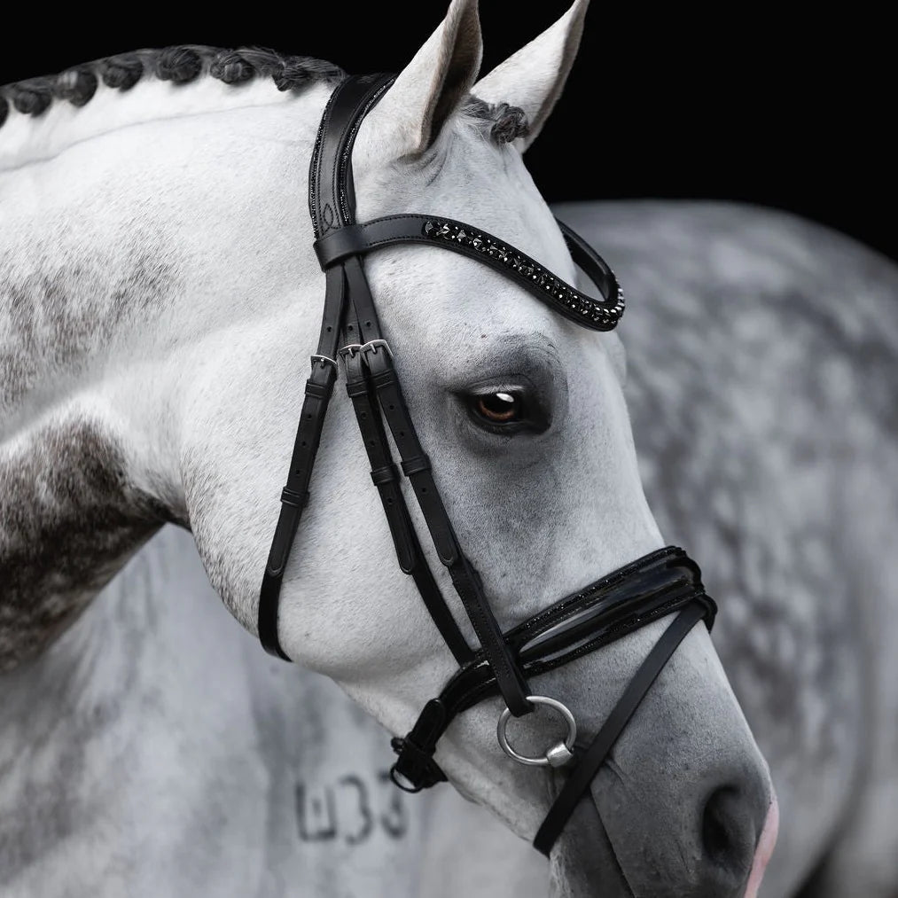 Lumiere Arcadia Hanovarian Bridle - Saddleworld Devonport