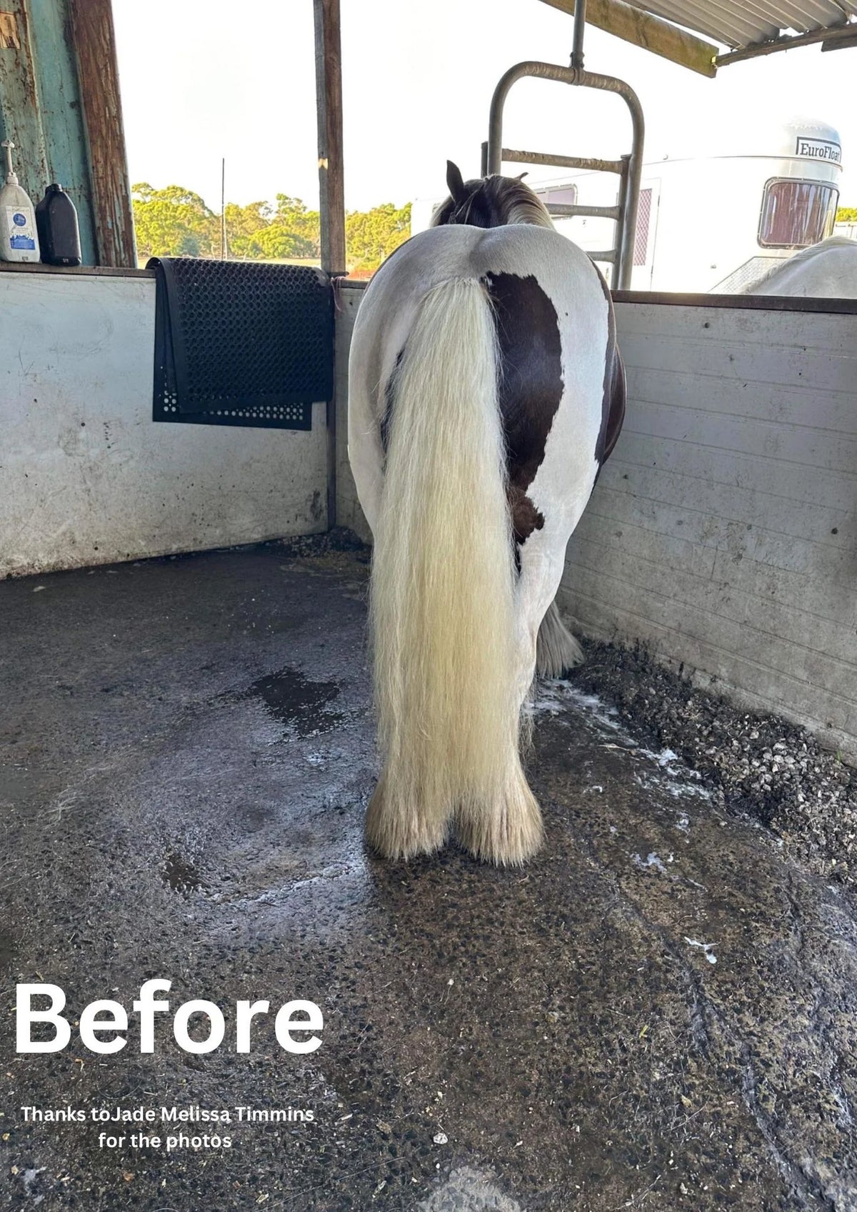 Hairy Pony Purple Hair Repair - Macadamia, Elderflower & Jojoba