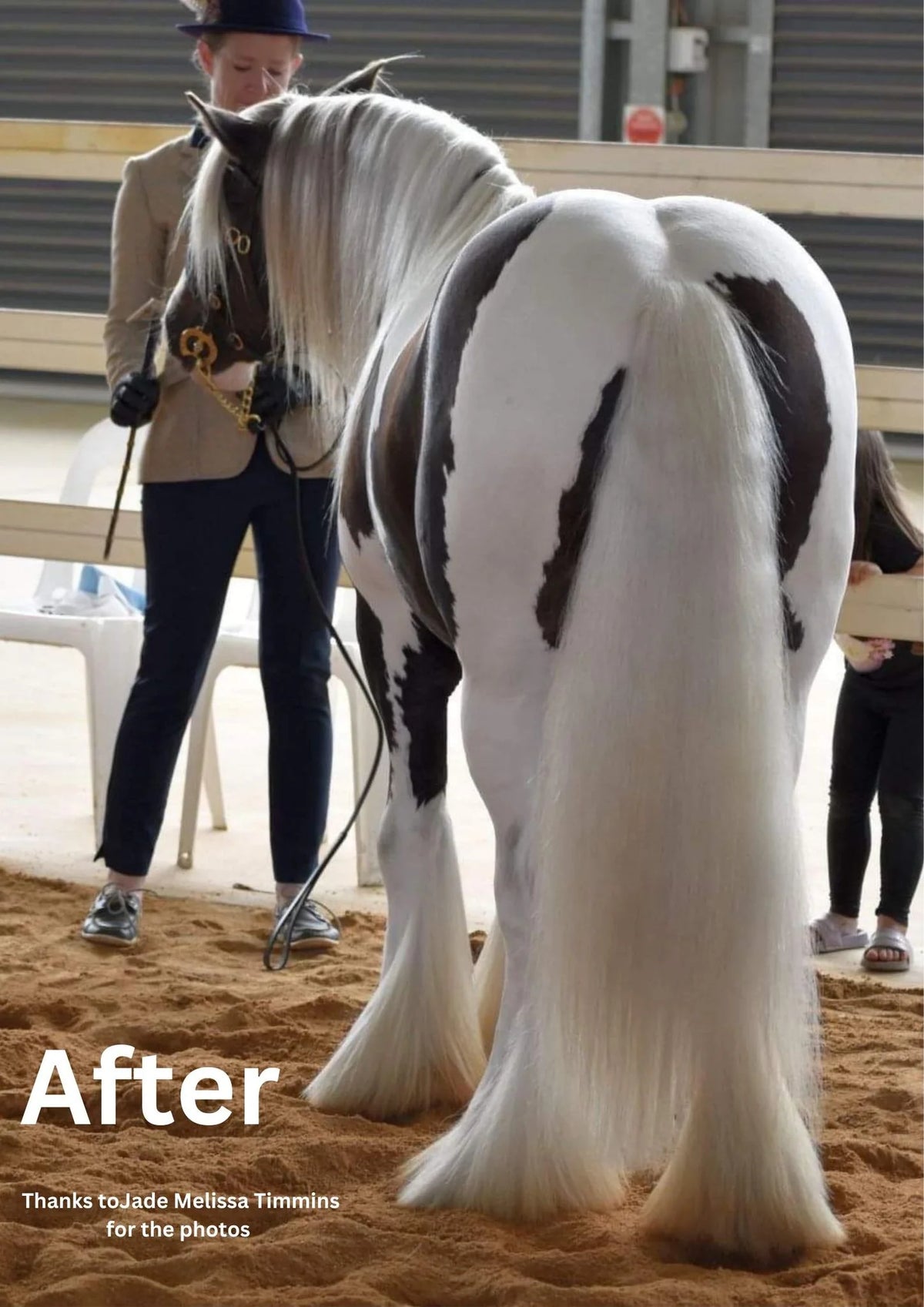 Hairy Pony Purple Hair Repair - Macadamia, Elderflower & Jojoba