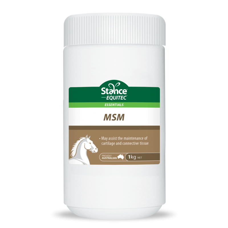 Stance Equitec MSM 1kg