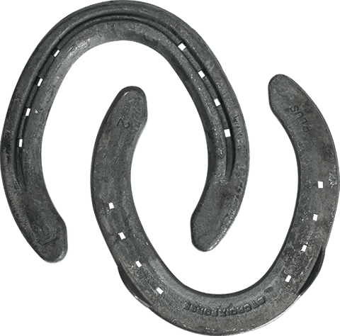 Mustad St Croix Eventer + Steel Hind Side Clip - Saddleworld Devonport