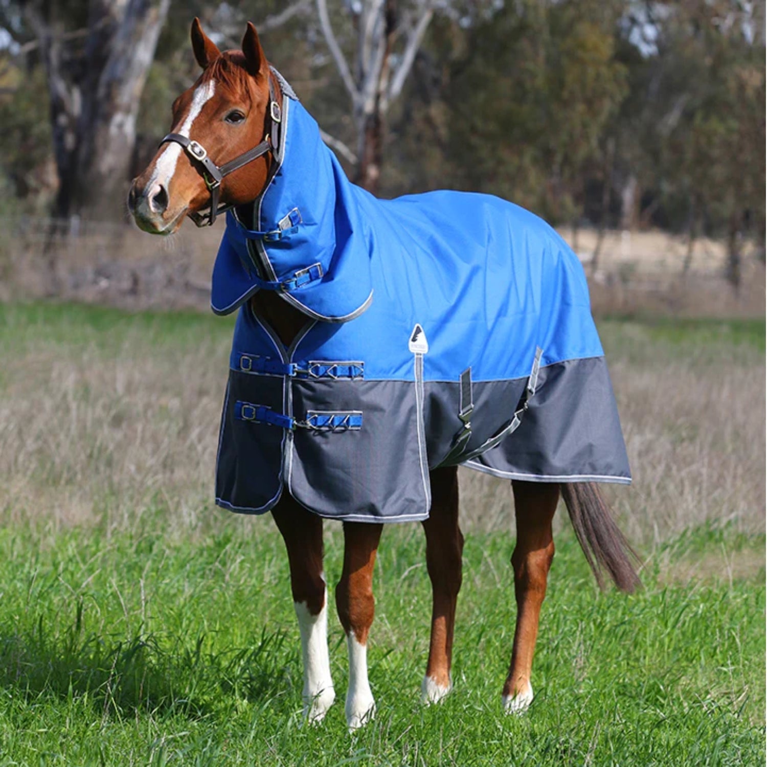 New Eurohunter Kosciuszko Combo (1200 Denier/220 Gram Fill) - Saddleworld Devonport