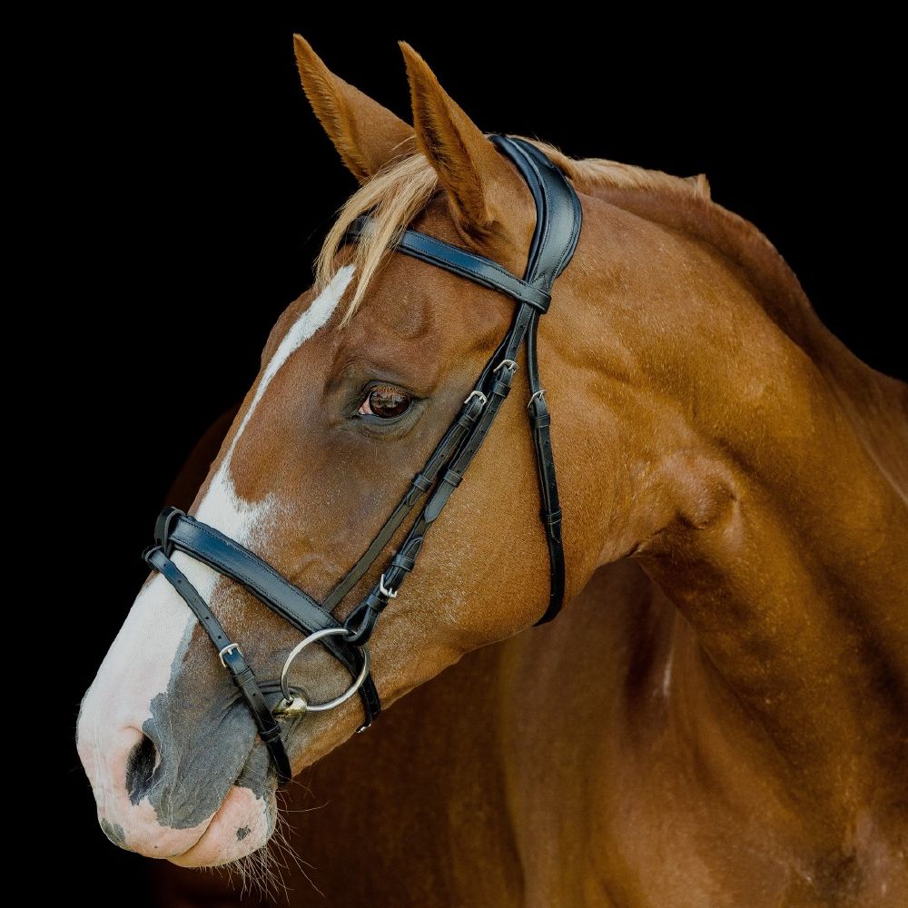Platinum Signature Classic Bridle - Saddleworld Devonport