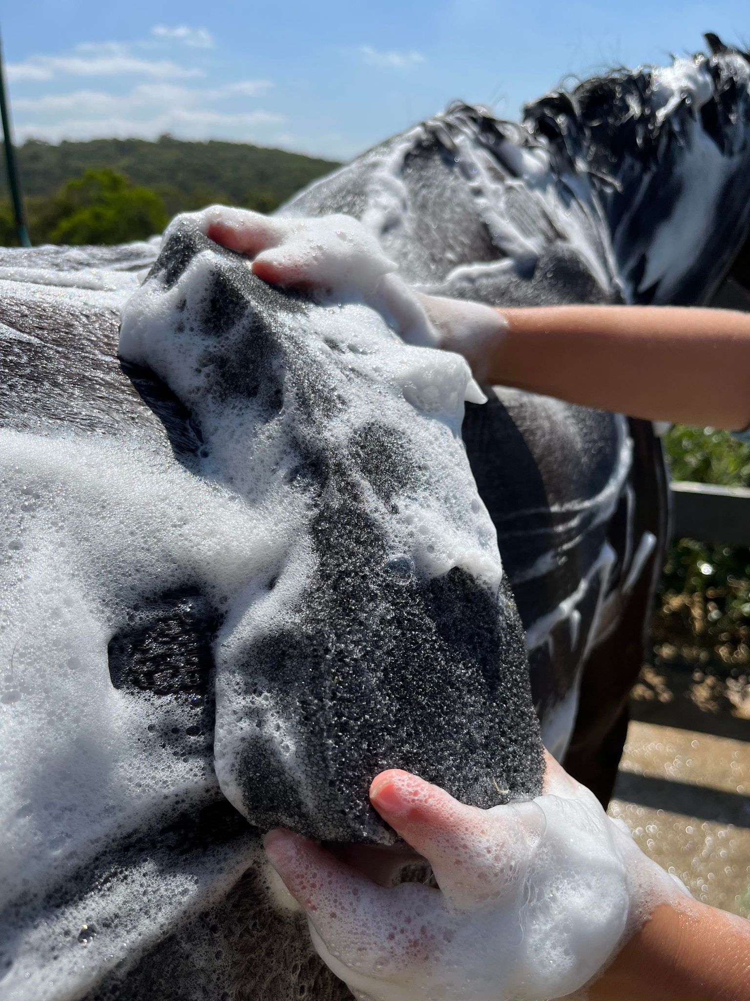 Hairy Pony Scrub Sponge