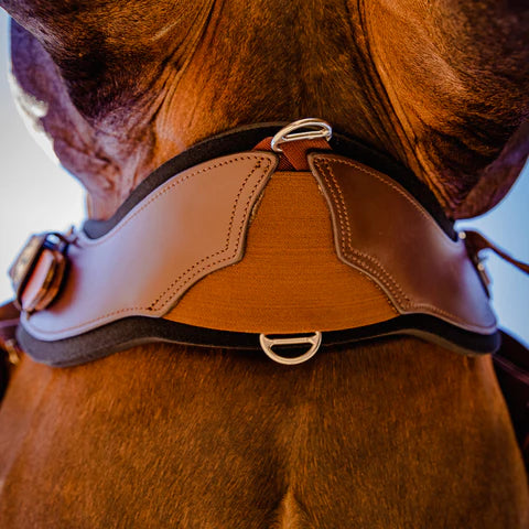 Total Saddle Fit Cinch with Liner - Brown with Fleece Liner
