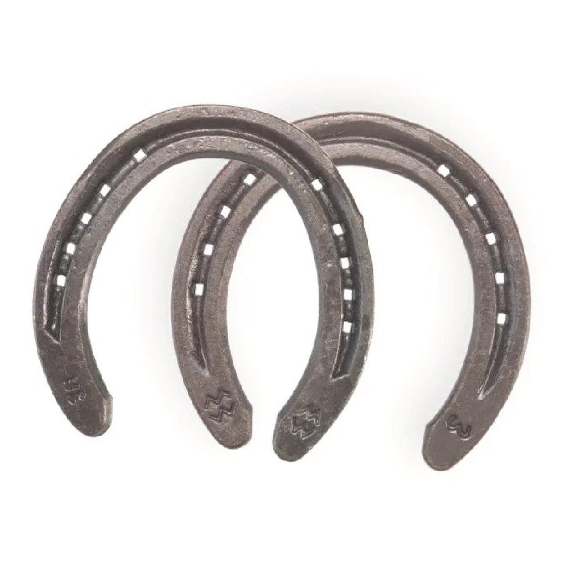 Winchester Flat Hack (1/Clip) Set of 4 - Saddleworld Devonport