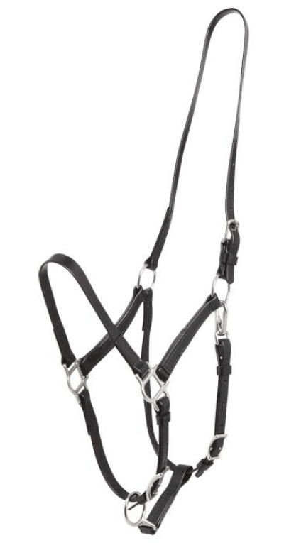 Zilco Deluxe Endurance Halter - Saddleworld Devonport