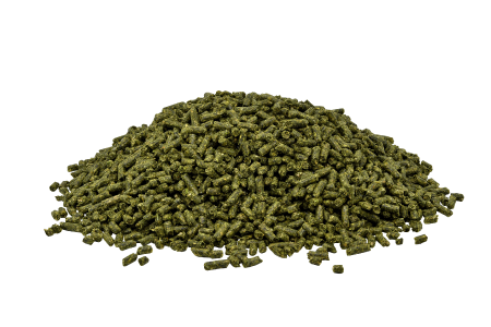 Prydes Easi Sport 20KG