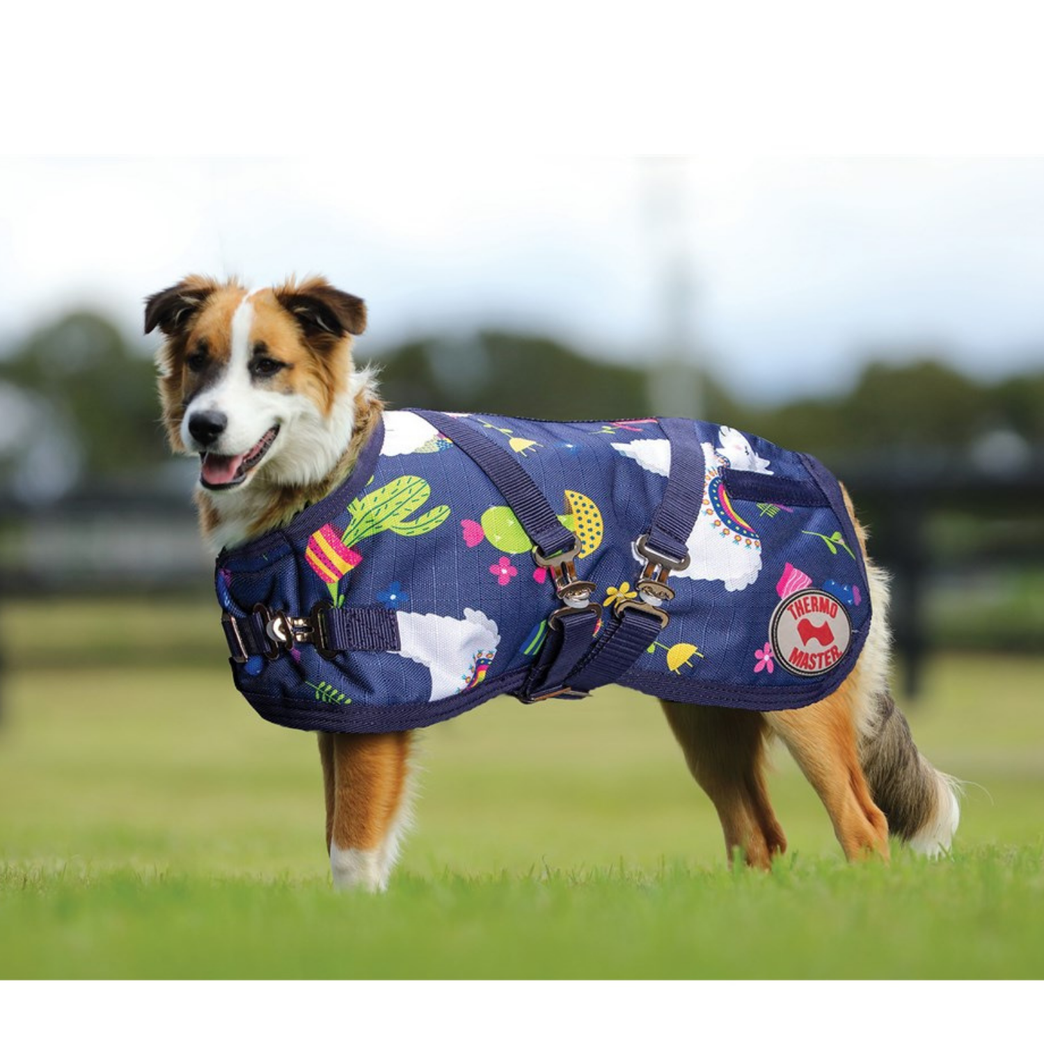 Thermo Master Supreme Dog Coat Llama Saddleworld Devonport