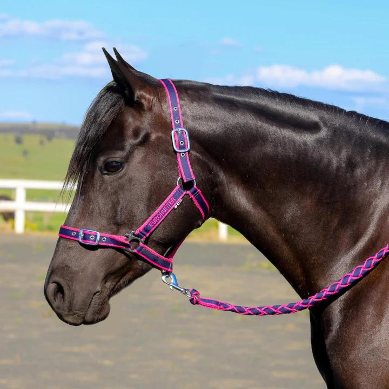 Eurohunter Comfort Halter & Lead Set