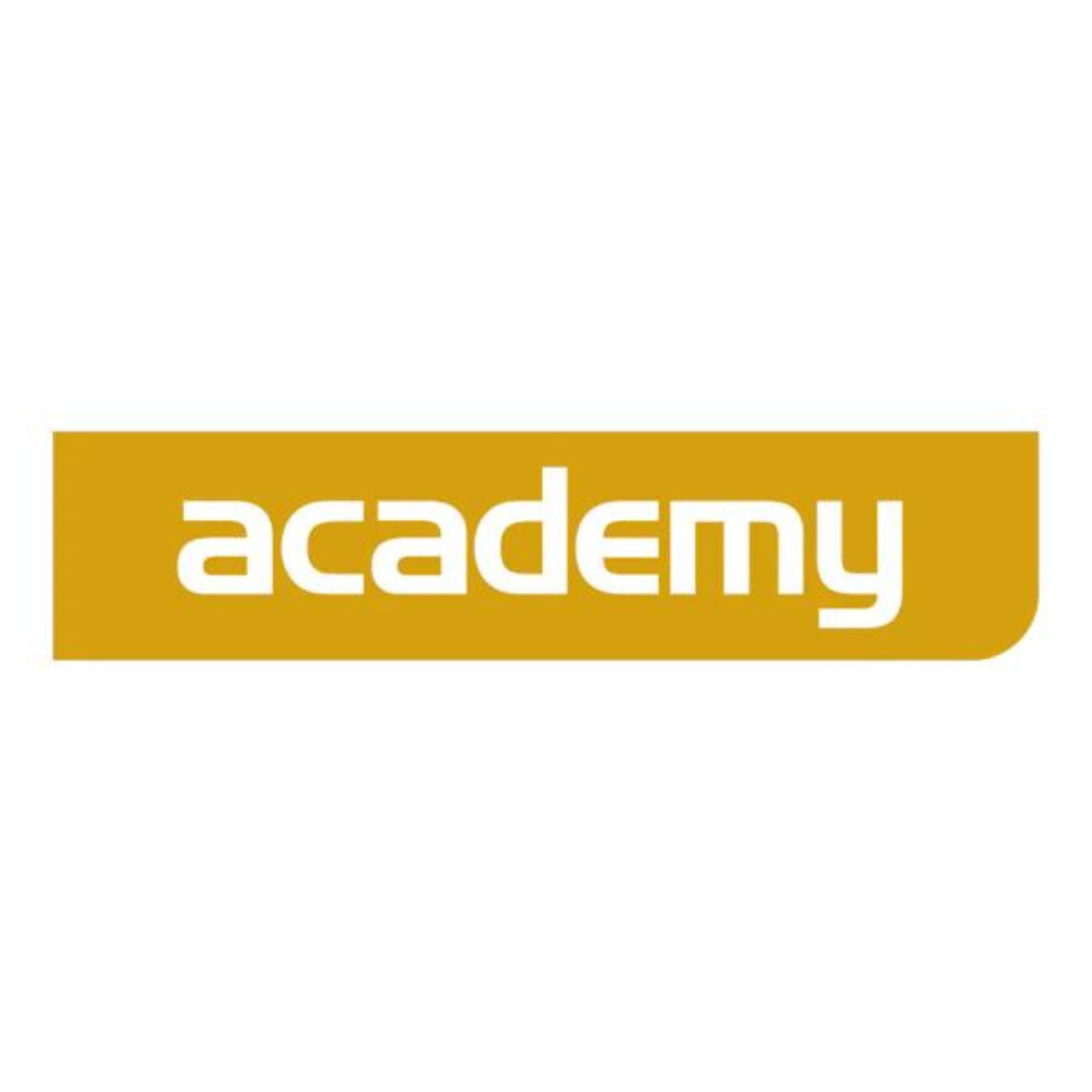 Academy Y Breastplate