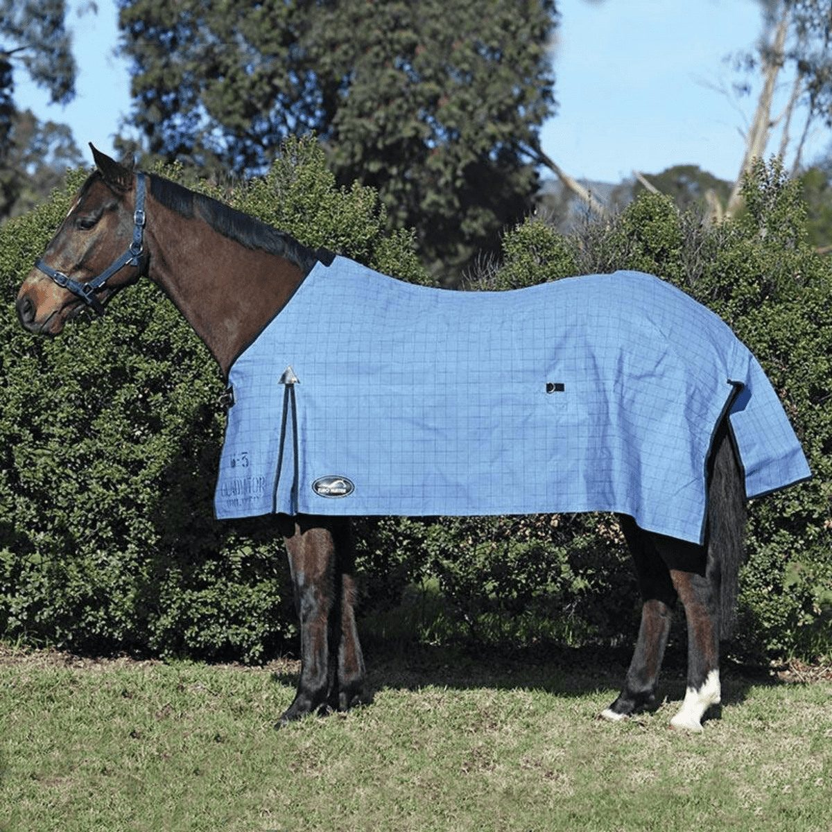 Eurohunter Gladiator Unlined Canvas Rug - Saddleworld Devonport