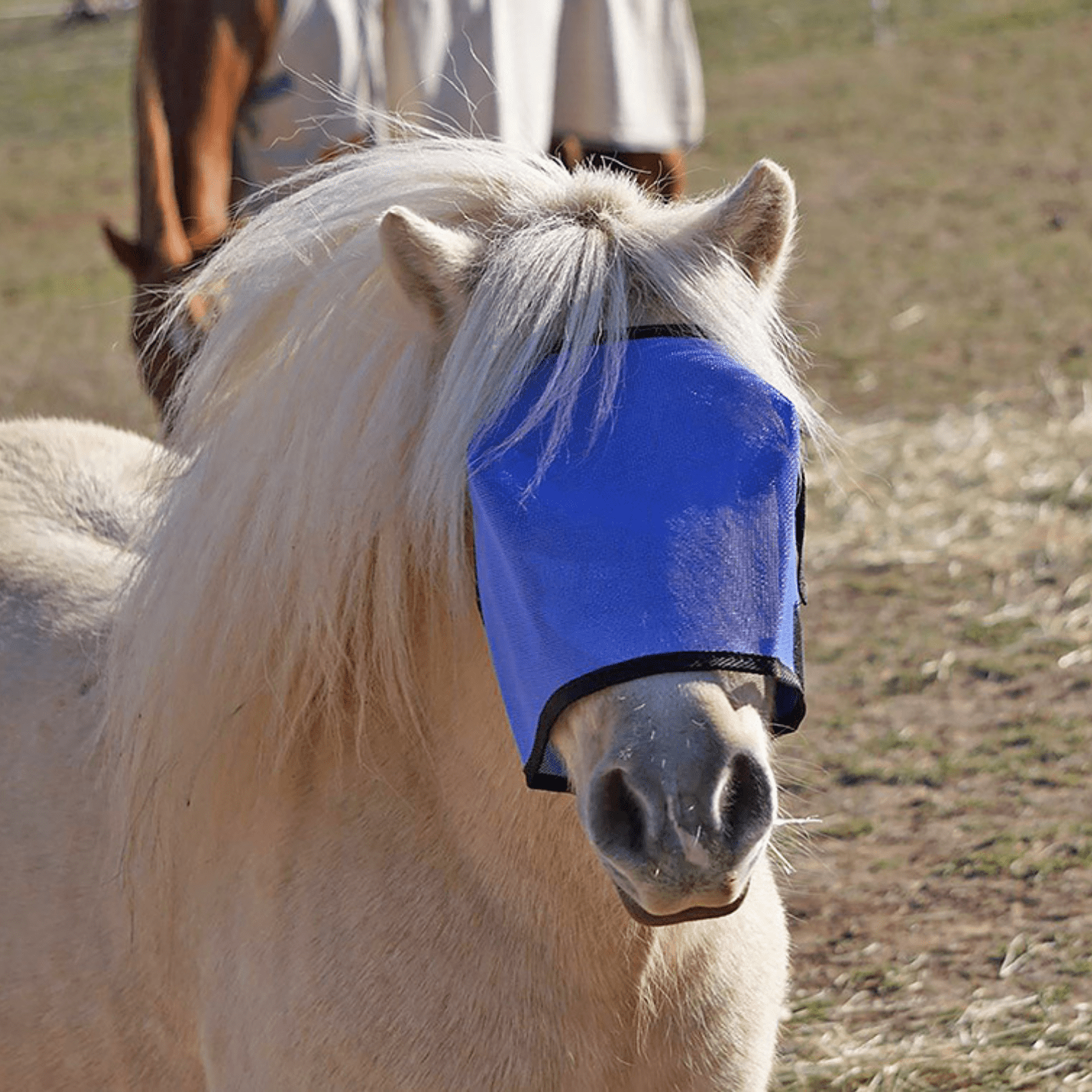 FlyVeils by Design Basic Fly Veil - Saddleworld Devonport