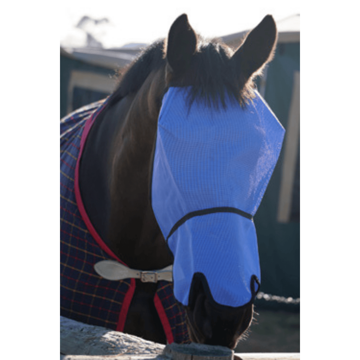 Flyveils by Design Basic Fly Veil with Extended Nose Cover - Saddleworld Devonport