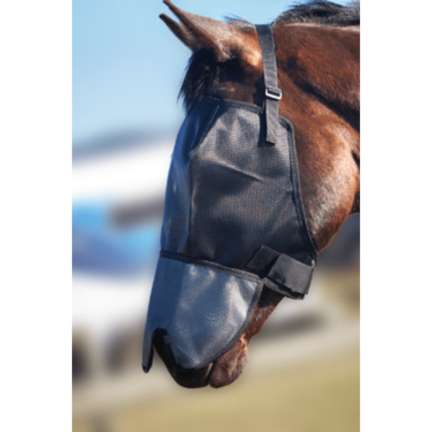 Flyveils by Design Flyveil with 100% Blockout Shaped Nose Cover - Saddleworld Devonport
