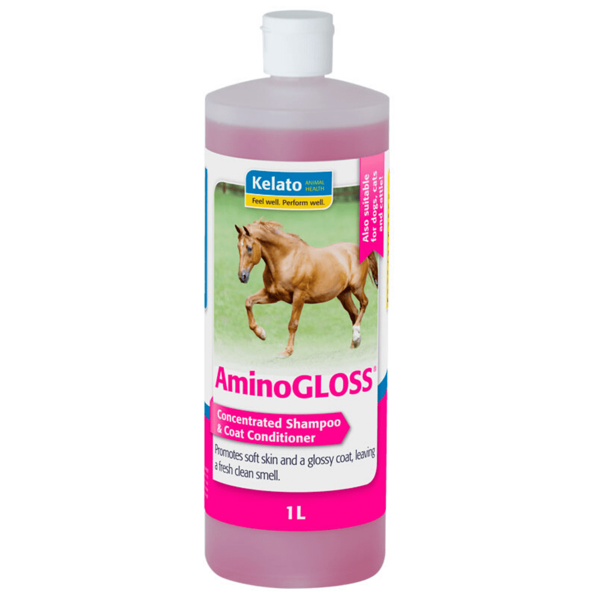 Kelato Aminogloss - Saddleworld Devonport