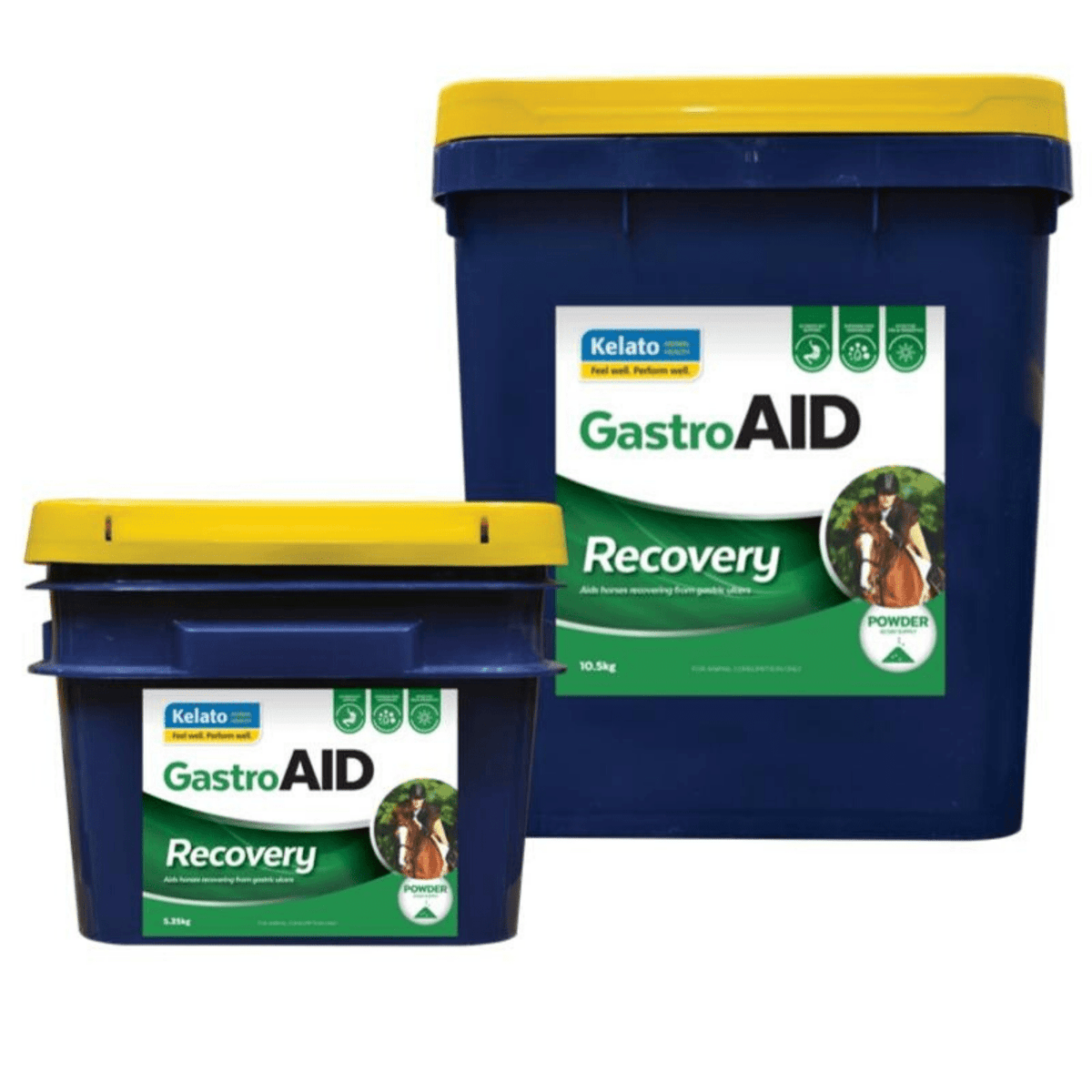 Kelato GastroAid Recovery - Saddleworld Devonport