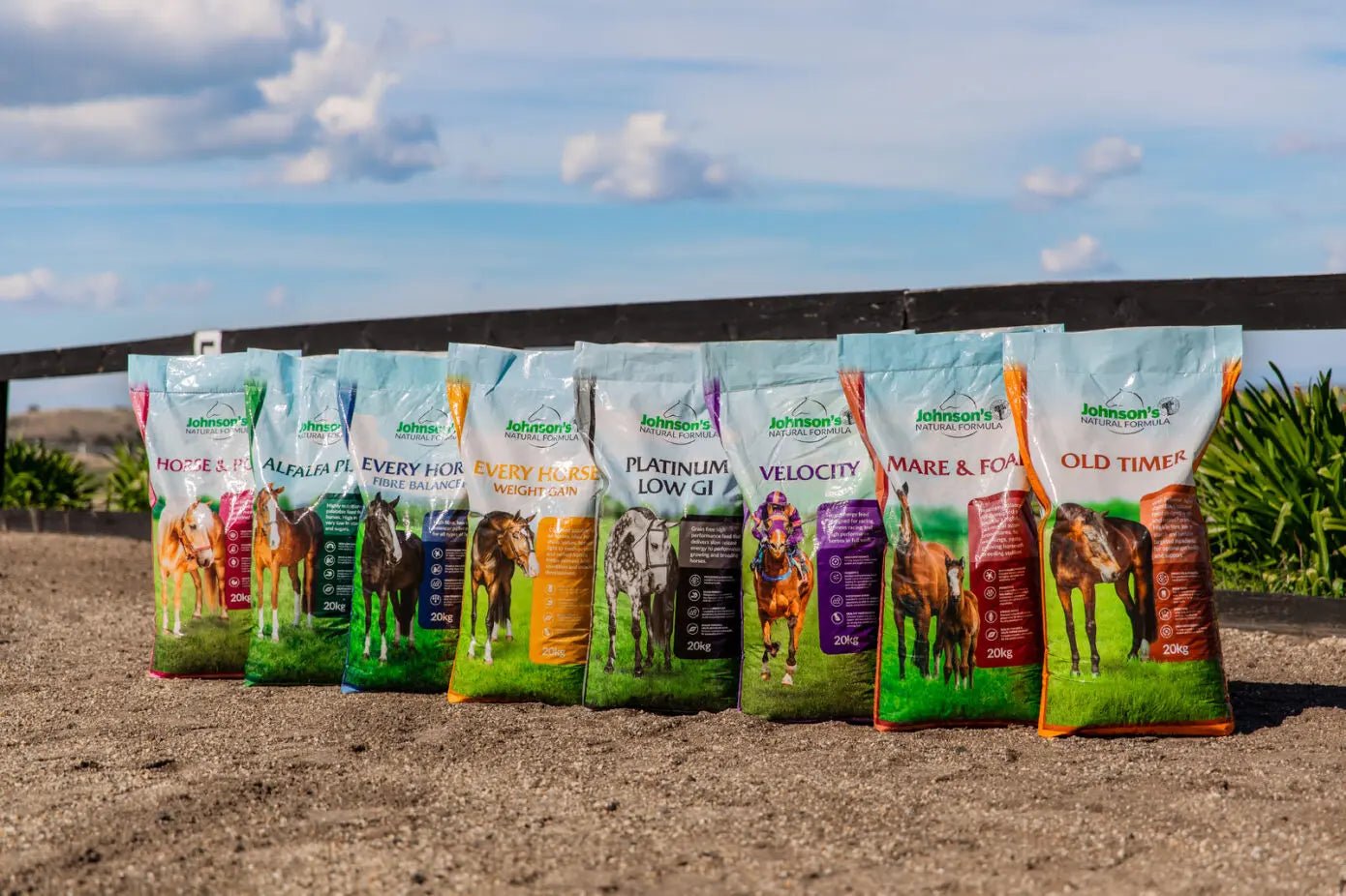 I'm Overwhelmed by Internet Experts! What should I Feed my Horse? - Saddleworld Devonport