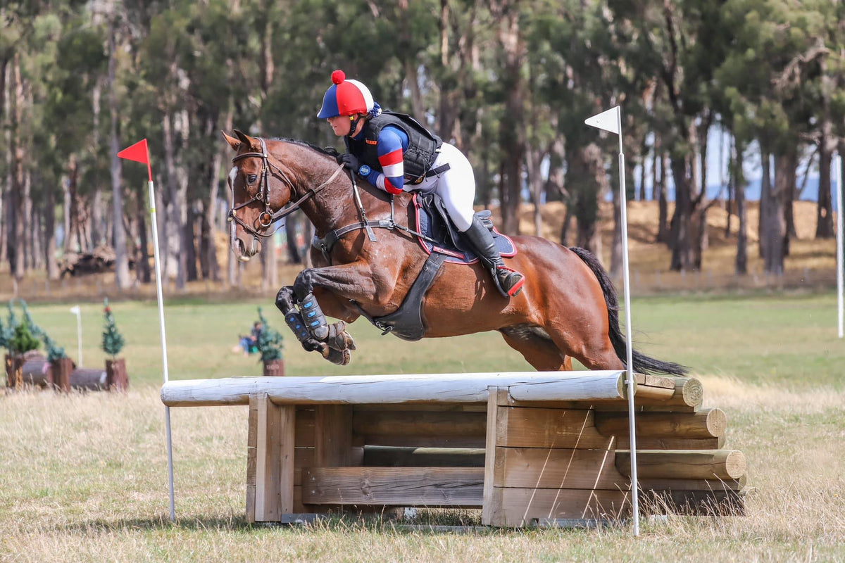 Tassie Events Coming Up - Saddleworld Devonport