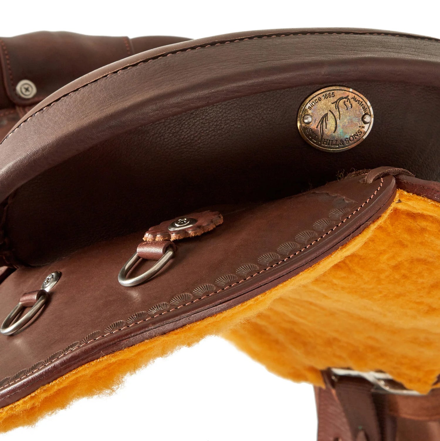 Curated Saddle Collection