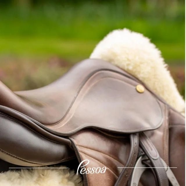 Ruis Diaz (Pessoa, PDS, Trainers) - Saddleworld Devonport