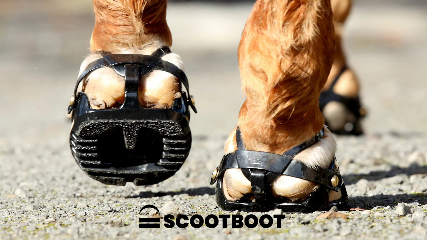 Scoot Boot
