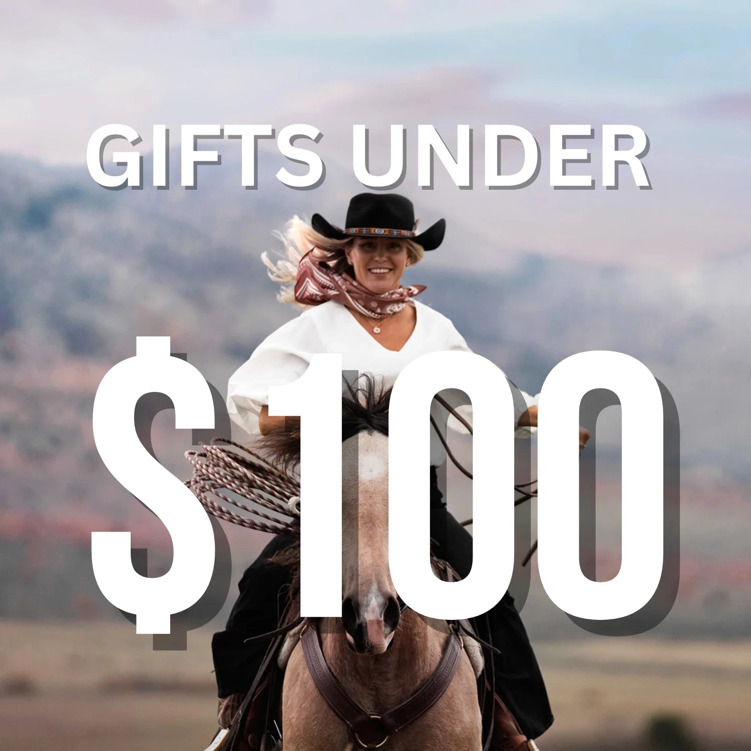 Giftware Under $100