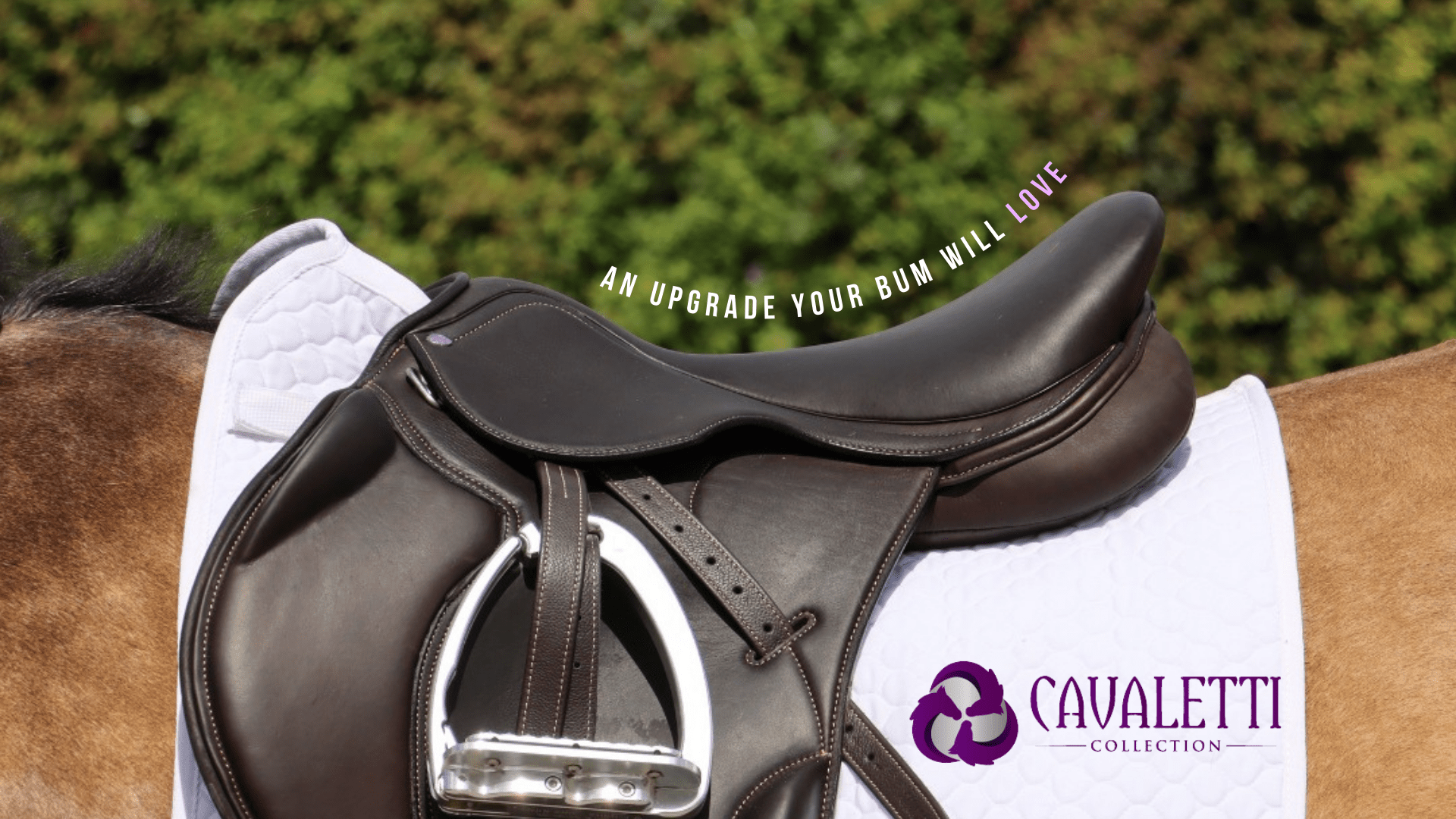 Cavaletti Saddles - Saddleworld Devonport