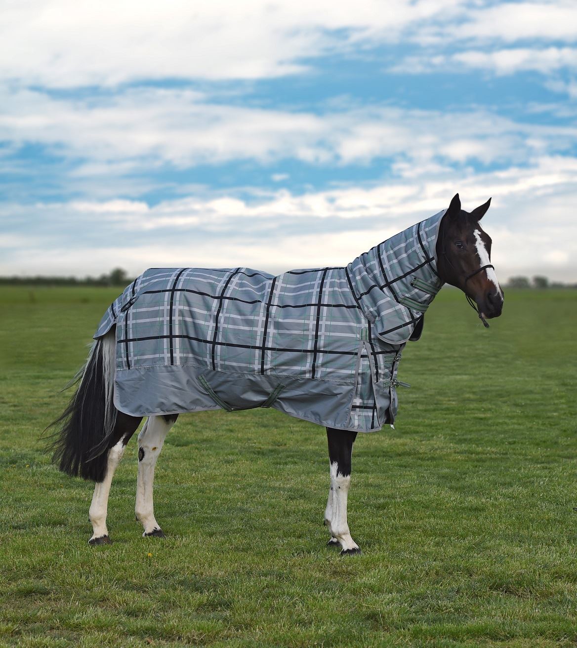 Sale - Horse Gear and Care - Saddleworld Devonport